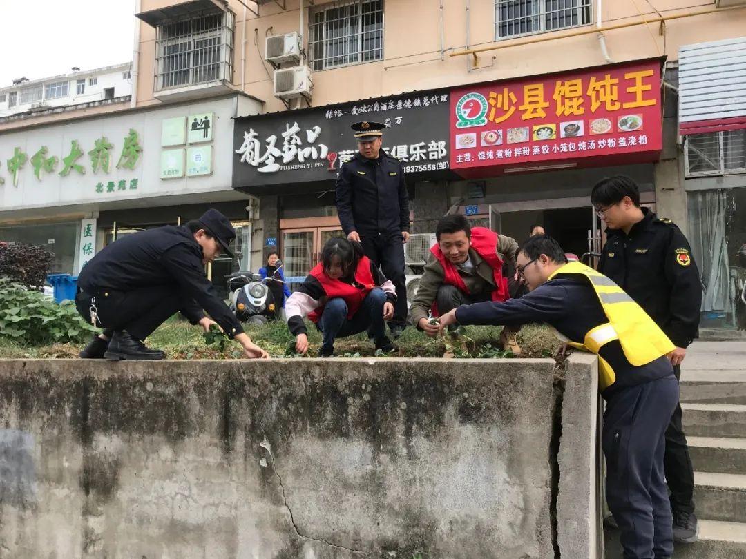 菜地被插牌禁止栽种，街道办回应的详细步骤指南