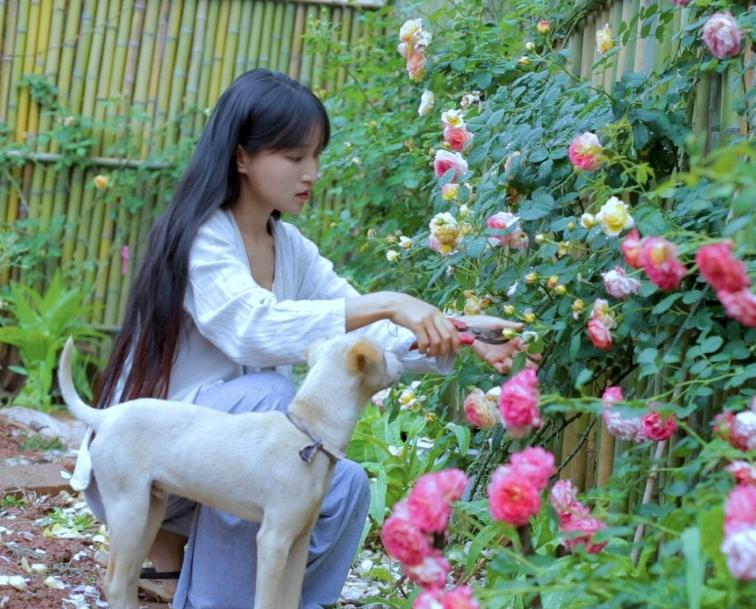 李佳琦淘宝双11首日夺冠，内心平静的旅行之旅