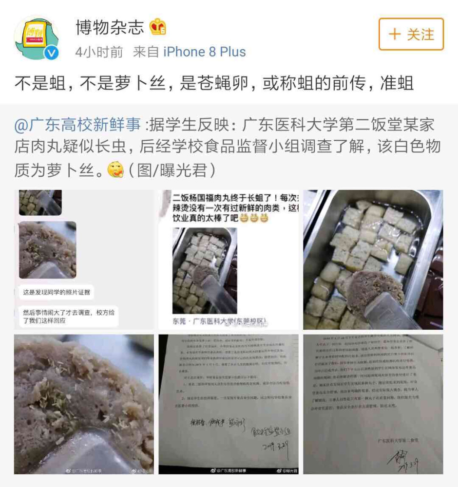 学校食堂臭肉事件曝光，官方通报、解读与反思