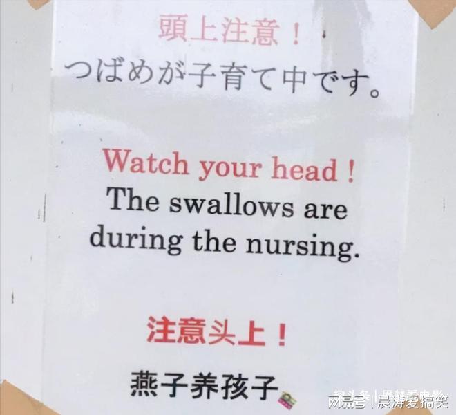 中国游客英文口号热议，一句口号引发广泛关注