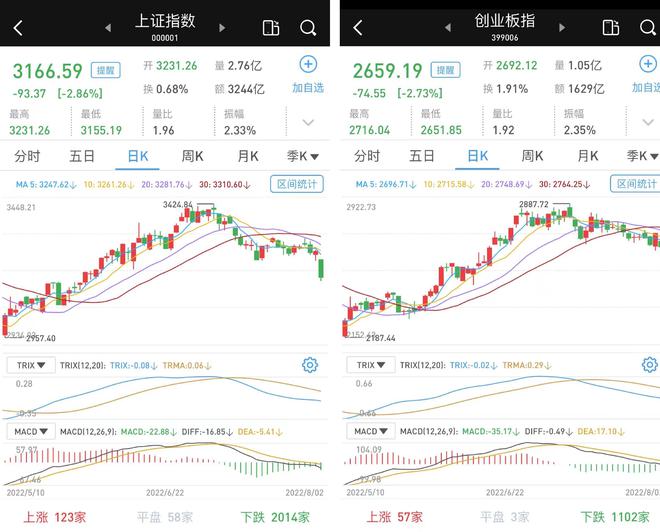 A股三大股指强势上扬，市场走势分析与多元观点解读