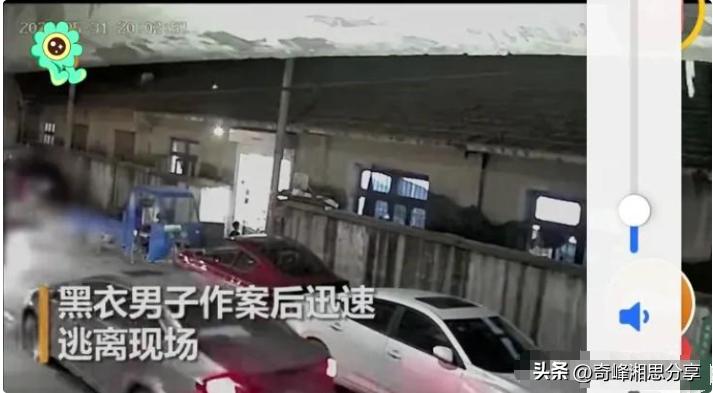印女子雇凶杀情敌遭反杀，小巷深处的秘密惨案