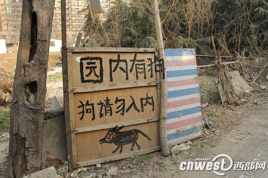 拾荒老人街边去世引发社会现象多元观点探讨