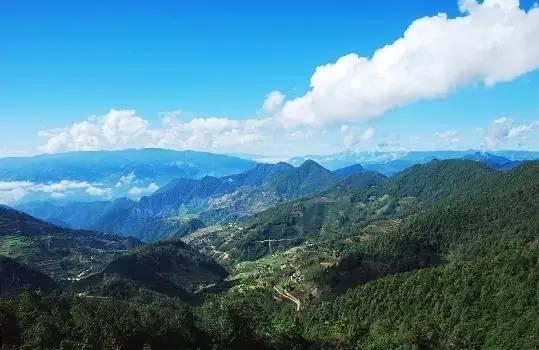 哀牢山千鸟之翼下的温情故事，全球仅千只珍稀鸟类现身探索之旅