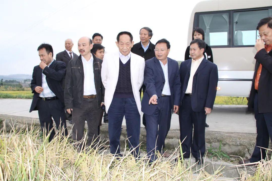 袁隆平，非洲农民的农业技术导师与学习指南