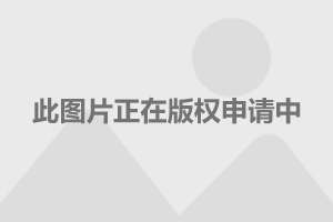 黄圣依自曝离婚风波，婚姻之路何去何从？