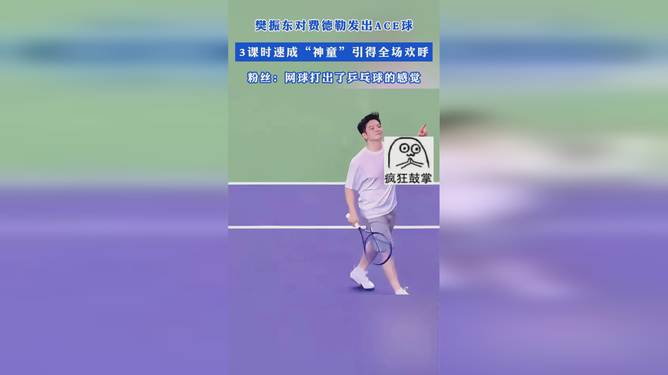 樊振东对费德勒发出ACE球，技术与策略的巅峰对决