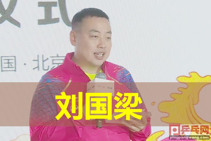 樊振东乒气网球之旅，奋斗与自信的励志之旅