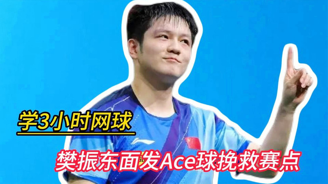 樊振东对费德勒发出ACE球，自然美景之旅与内心的平和追求