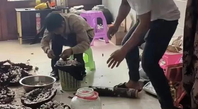 虎头蜂泡酒失误引发惊险一幕，两男子迅速逃离现场