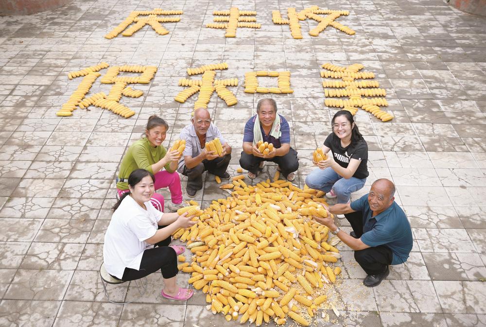 30秒领略一年丰收盛景，秋季的丰盈与美好愿景