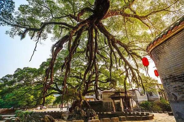 湖南货车事故致儿童一死一伤，探寻湖南自然美景求宁静奇迹之路