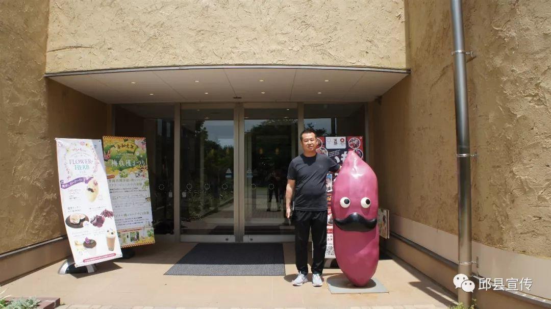 天价红薯引热议，海关回应日本来源与应对指南