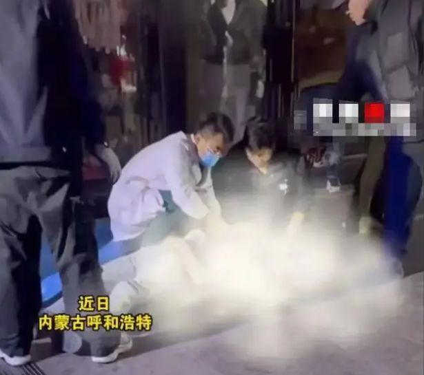 男子被多人持刀围殴倒地不起，事件深度分析