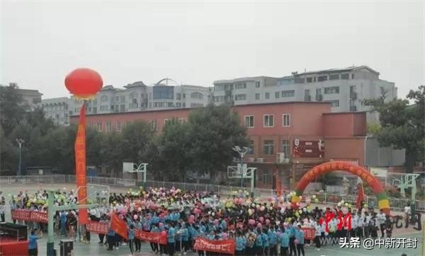 最新喜剧电视剧，笑迎变化，自信铸就梦想之旅