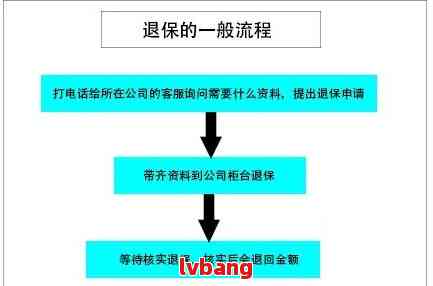 最新延退消息详解，步骤指南与注意事项