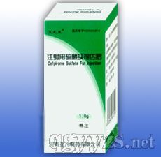 头孢最新一代，技术革新与医疗进步的标志性成果