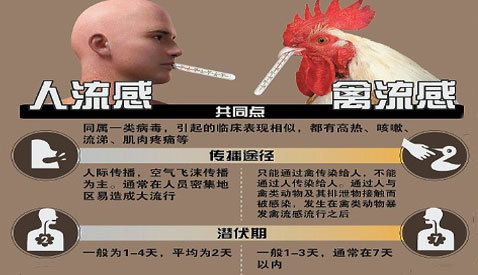 第3855页