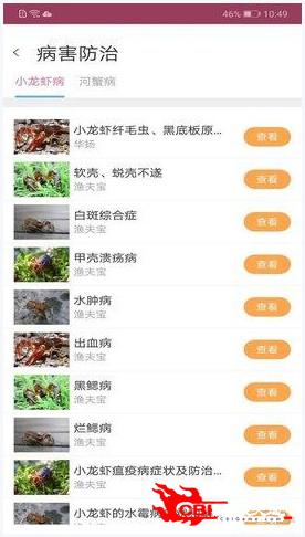 惠泽天下资料宝典正版精华，严谨格式_融元境END615.55