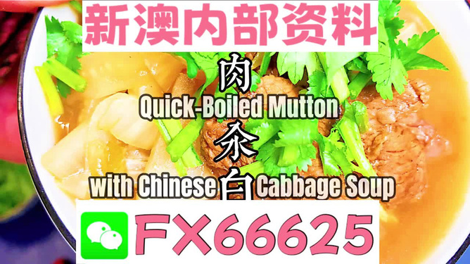 管家婆一码一肖最准资料最完整,系统解析说明_原始版67.747