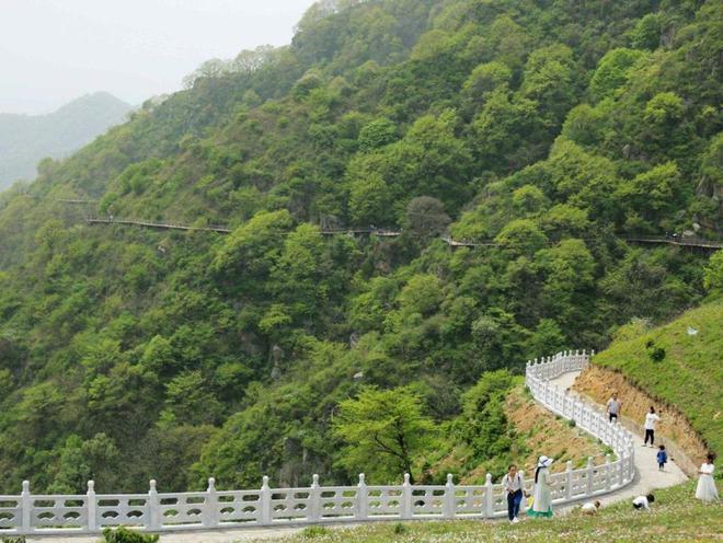 魔兽最新副本，自然美景之旅，探寻内心宁静与平和的冒险