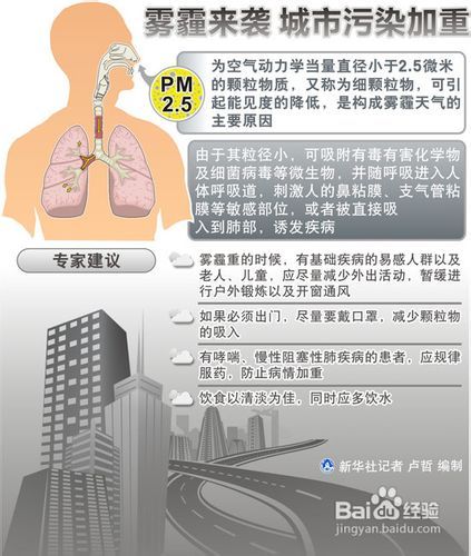 雾霾最新动态，成因、影响及应对策略