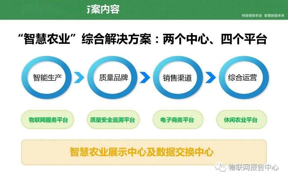 新澳门一码一肖一特一中准选今晚，快速计划解答设计_4DM76.18.5