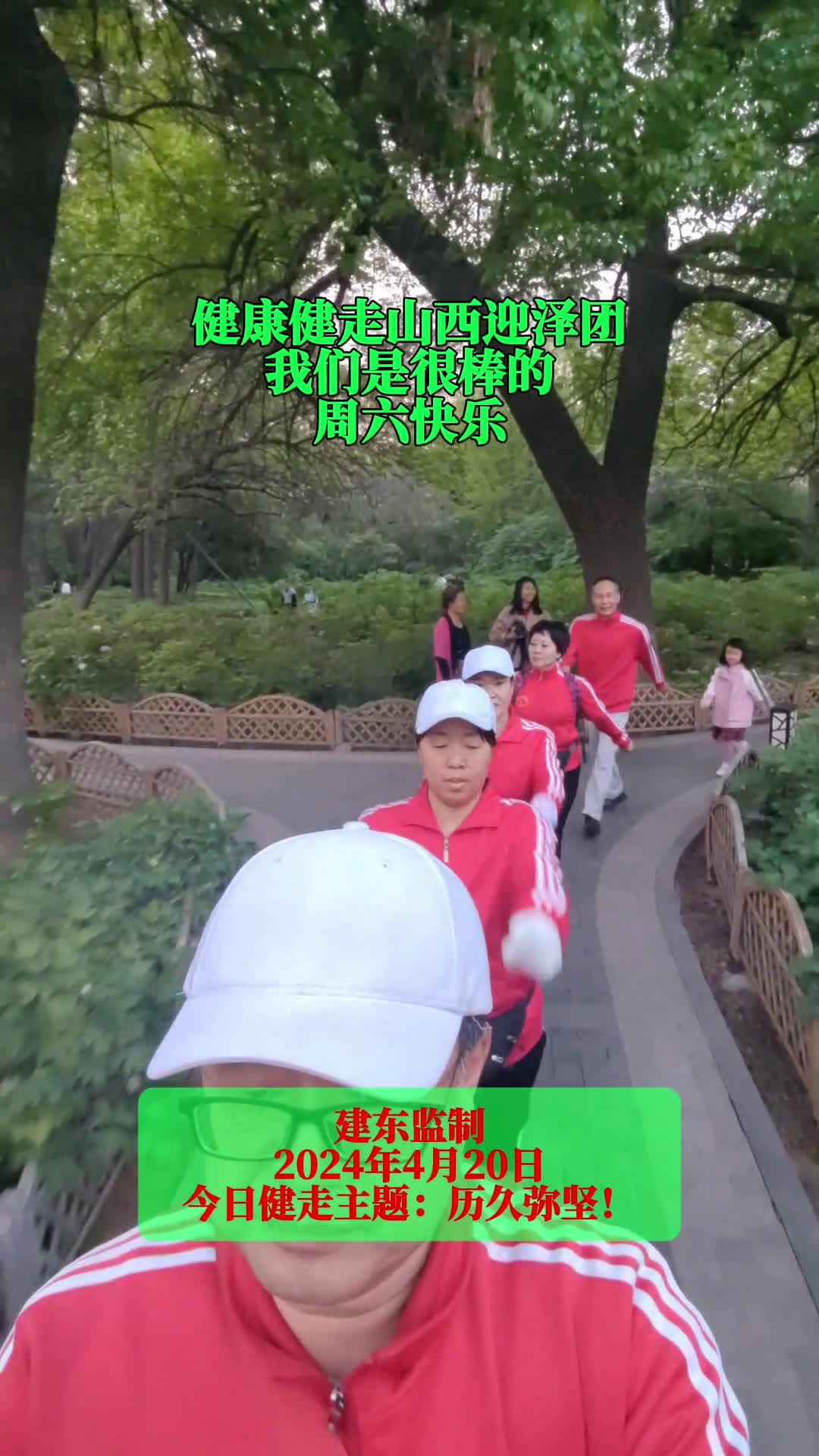 第3736页