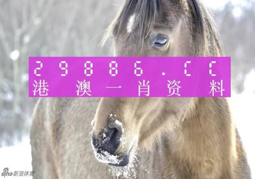 最准一肖一码100%澳门，实证分析解析说明_MR24.70.4