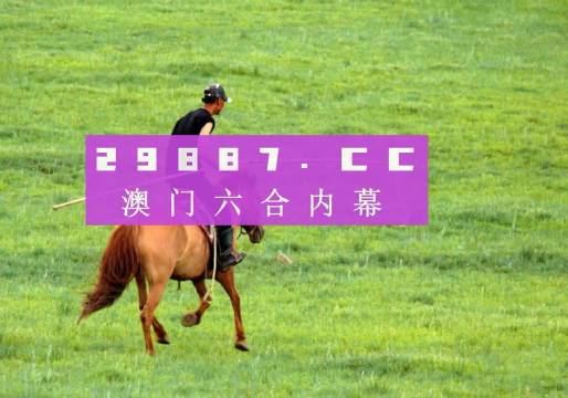 494949cc澳门资料,实践解答解释落实_LE版42.5