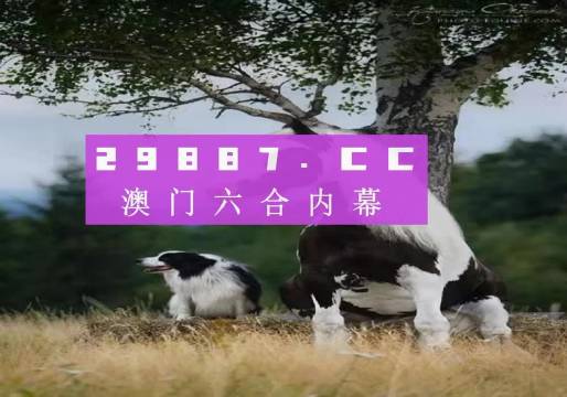 今日发布：2024正版澳门跑狗图全新版，专业解析与方案执行指导_PRU68.168光辉版
