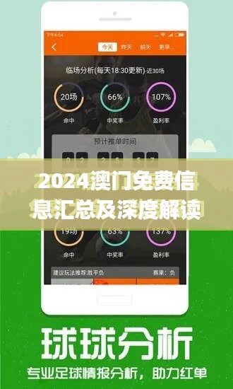 2024澳门独家免费资料库：正版精选，XIM73.43灵活版深度解析