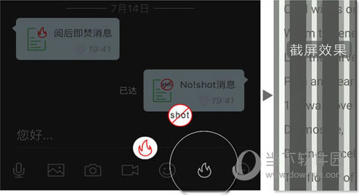 管家婆一码一肖100，数据详析保障_ZGV68.261炼魂境