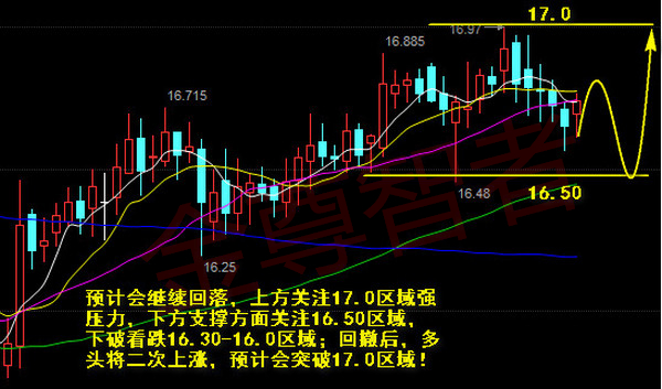 揭秘一码一肖100%准确，持续设计解析策略_界面版24.46.60