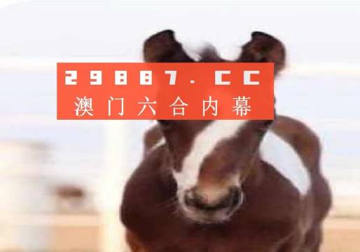 澳门一码一码100准确挂牌，专家解答解释定义_Elite6.5.11