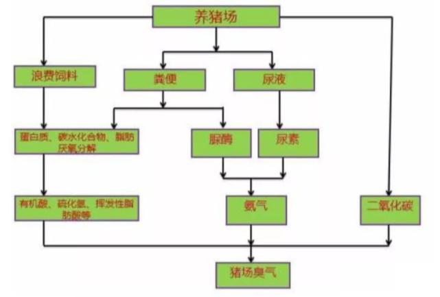 2024新澳正版资料解析：安全设计策略与YMS759.24配送版深度解读
