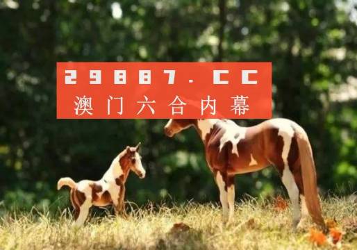 2024跑狗图库完整版评估解读：HNY808.78豪华精装