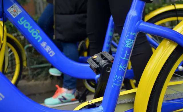 永安行最新动态更新，骑行彩虹与最新消息揭秘🚲🌈