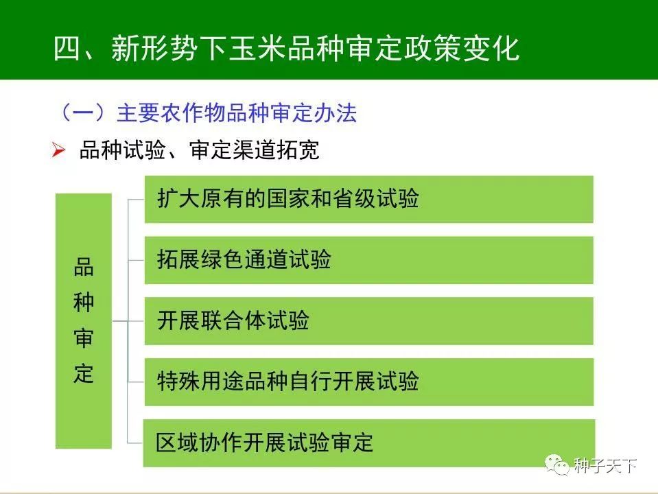 修改后2024天天彩官方资料集，安全评估策略_灵活版SMP793.89