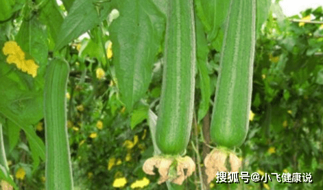 关于丝瓜视频最新版本的涉黄问题探讨与分享警惕网络色情风险，保护个人信息安全。