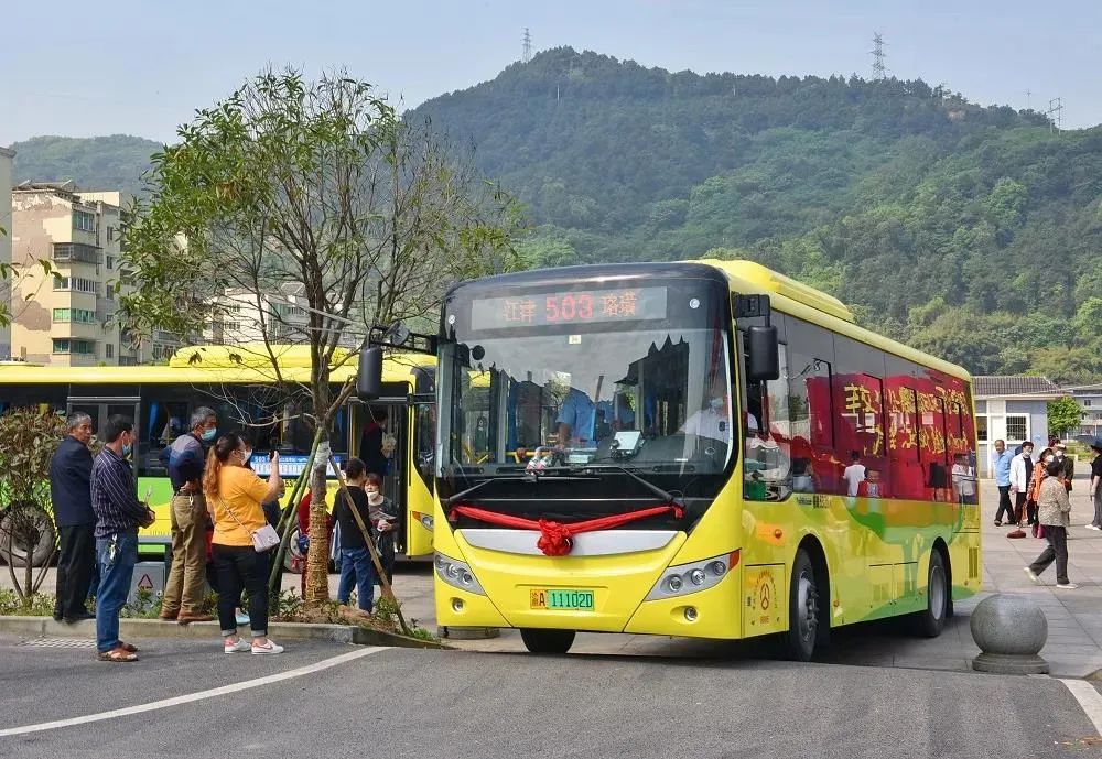 503路新路线，奇妙旅程与友情温暖相伴的惊喜之旅