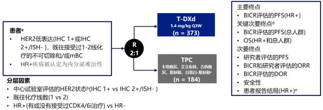 2024港内独家精准解析方案—白银版NCB247.52安全指南