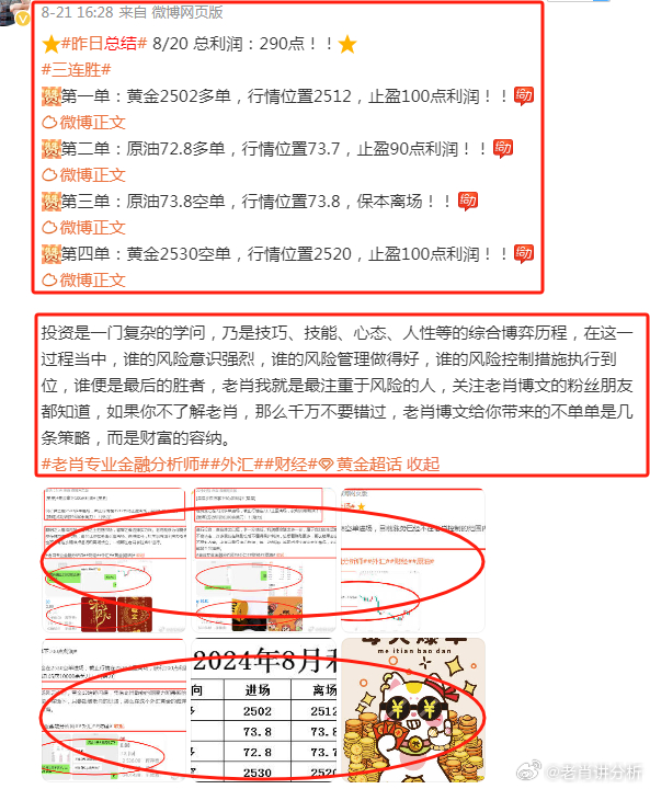 2024澳彩管家婆资料速递，状况剖析解读_个人版ZGN951.45