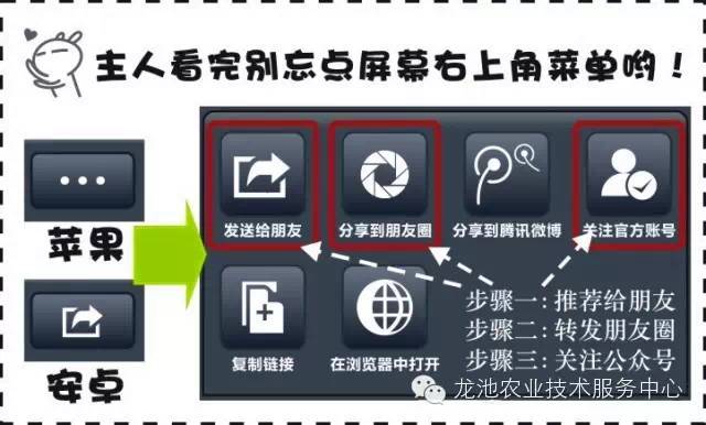 2024澳门详尽免费指南，精确信息解读_E-COMMERCE版NEG208.55