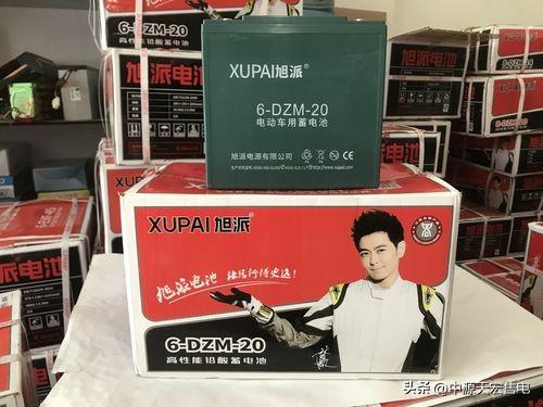 旭派电池最新价格及行业趋势解析与购买指南