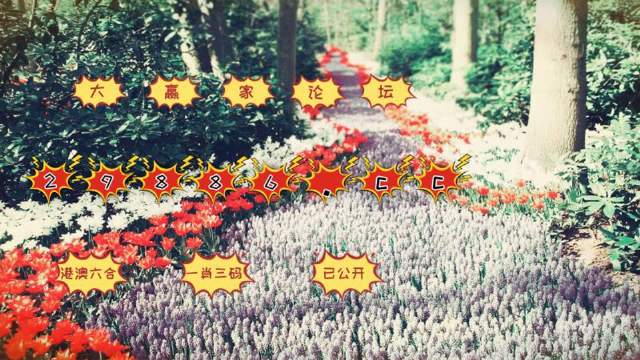 7777788888精准一肖一码,专业数据解释设想_WRO85.129专属版