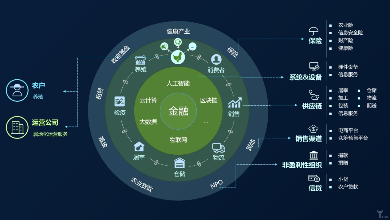 2024年特马开码查询,数据驱动决策_FDW85.240月光版