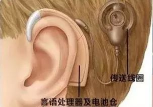 安装与使用指南