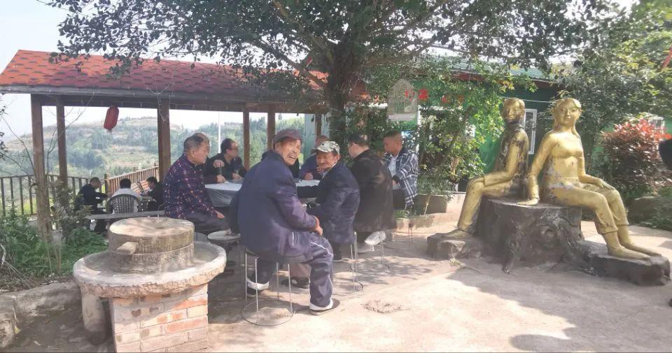 嘉陵区世阳镇最新动态报道，最新消息概述