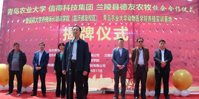 最新价格,最新价格，深入分析与观点阐述
